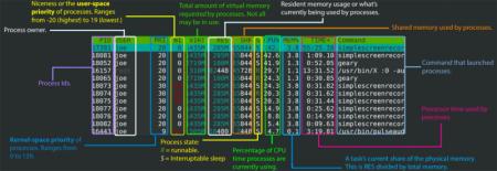 نصب htopبر روی سیستم عامل FreeBSD