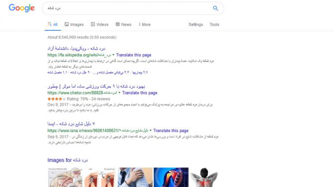 عملکرد الگوریتم مرغ مگس خوار